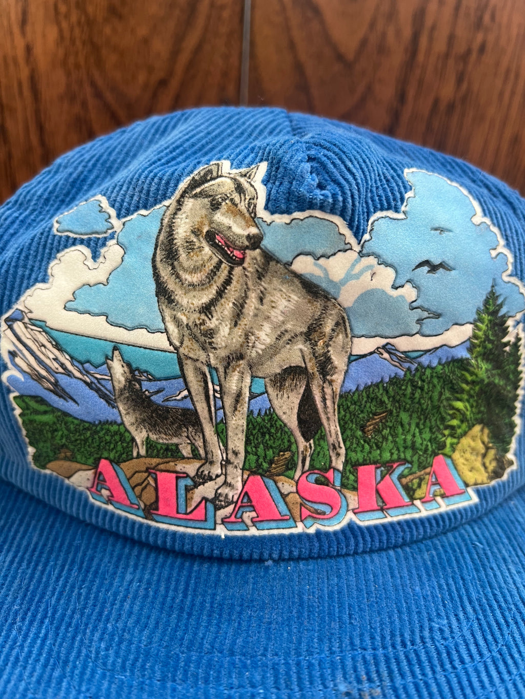 '80s-'90s Star Pacific Vintage Blue Corduroy Alaska Graphic Snapback Hat