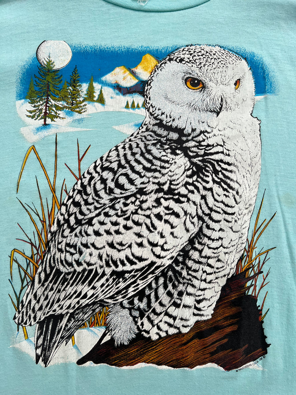 '70s-'80s Allore Vintage Blue Owl Graphic Short Sleeve TShirt Made In USA XL